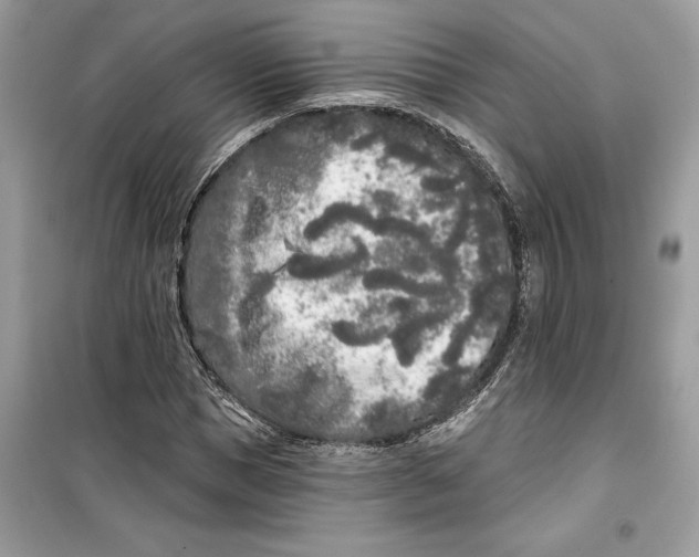 X0000099300921200805231338