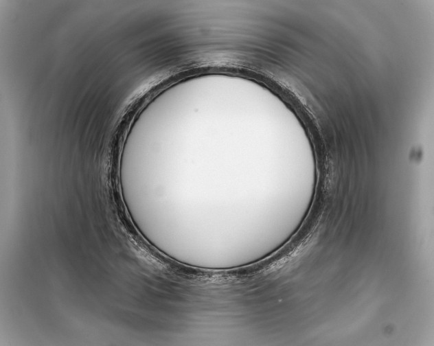 X0000099300922200805231338