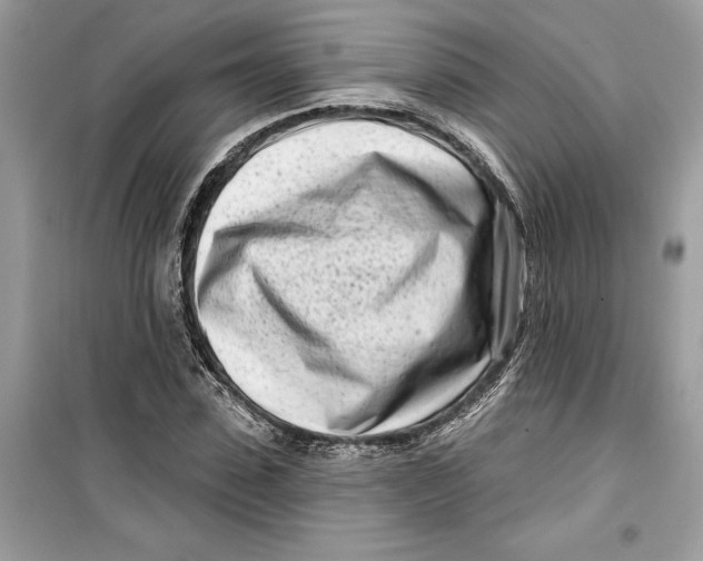 X0000099300923200805231338