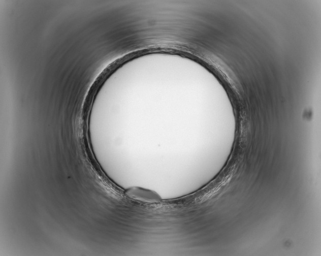 X0000099300924200805231338