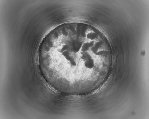 X0000099300925200805231338