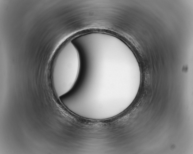 X0000099300926200805231338