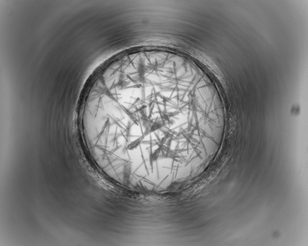 X0000099300928200805231338