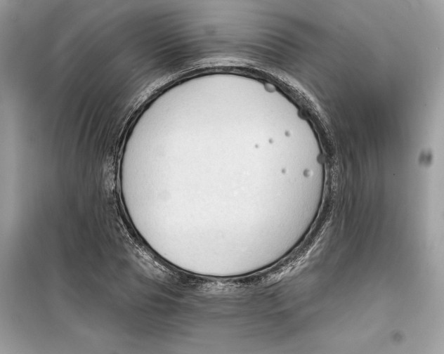 X0000099300929200805231338