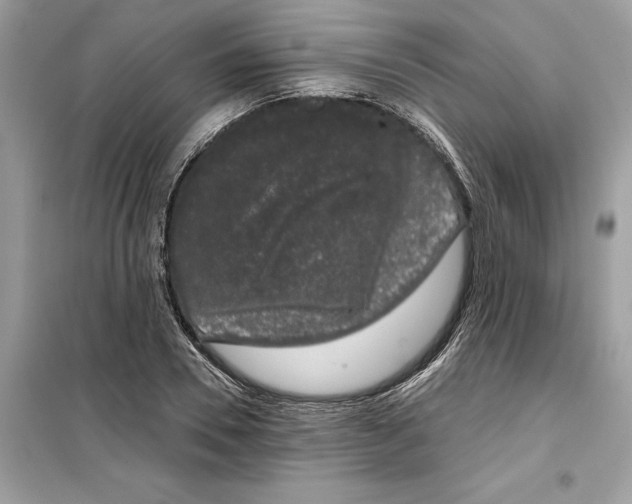 X0000099300930200805231338