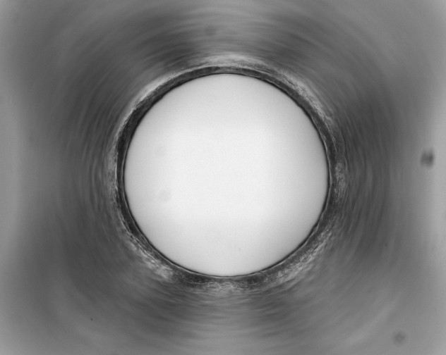 X0000099300931200805231339