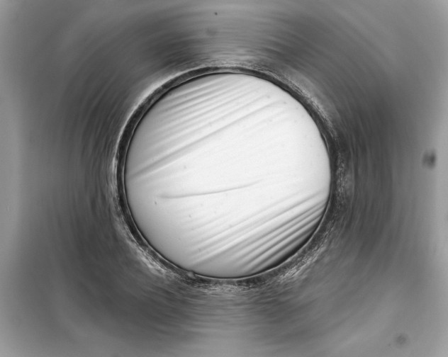 X0000099300932200805231339