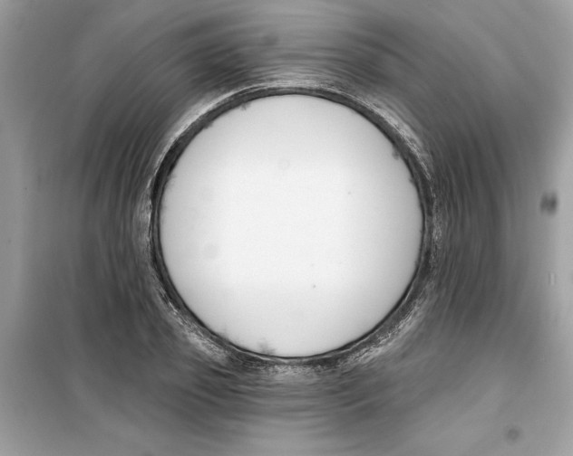 X0000099300933200805231339