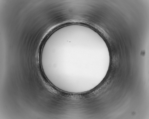 X0000099300934200805231339