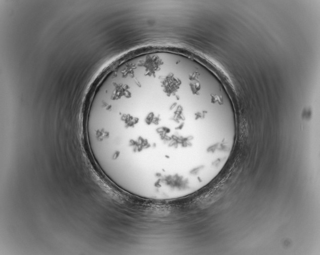 X0000099300935200805231339