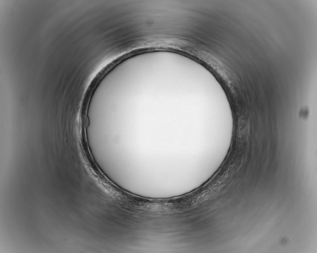 X0000099300936200805231339