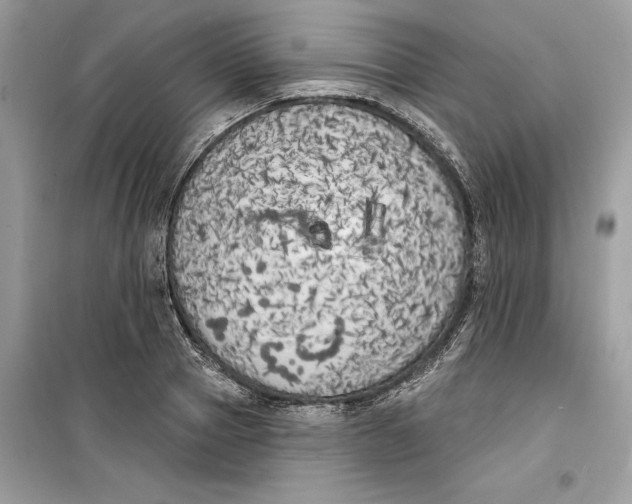 X0000099300937200805231339