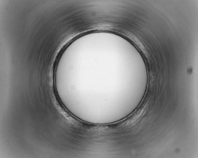 X0000099300939200805231339