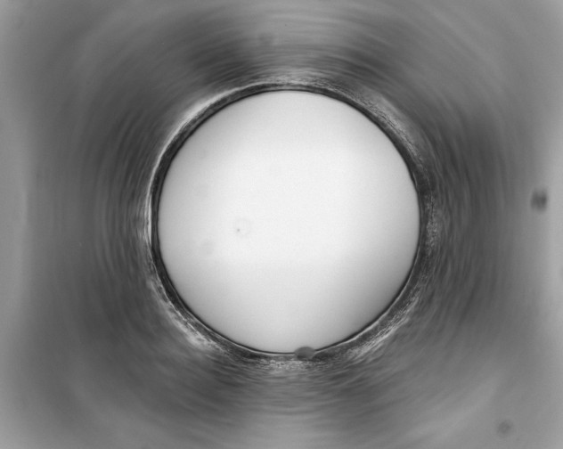 X0000099300940200805231339