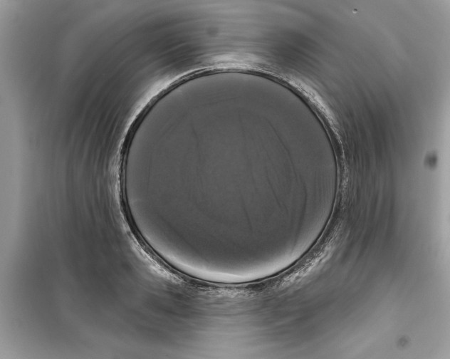 X0000099300941200805231339