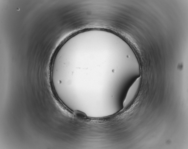 X0000099300942200805231339