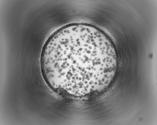 X0000099300943200805231339