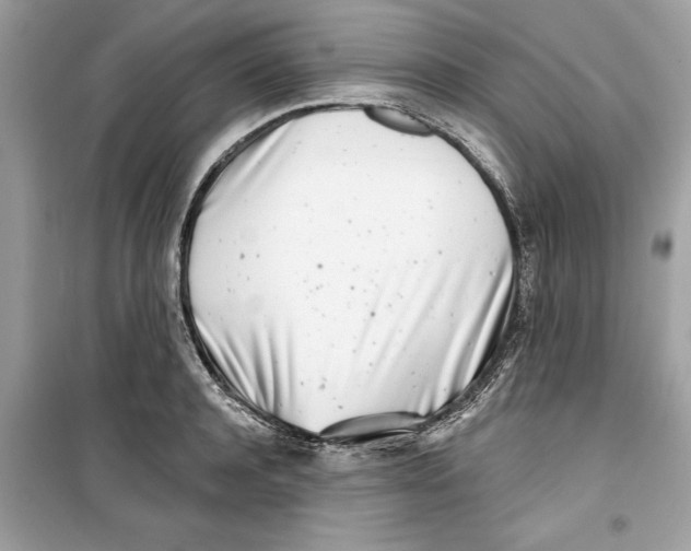 X0000099300944200805231339