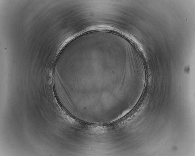 X0000099300945200805231339