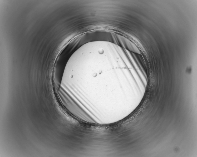 X0000099300946200805231339