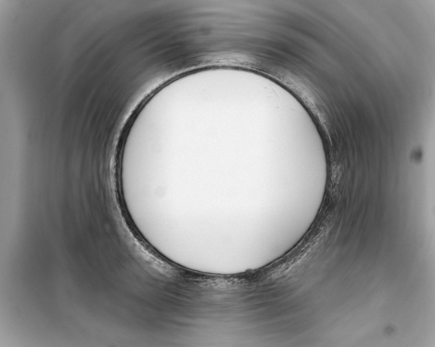 X0000099300947200805231339