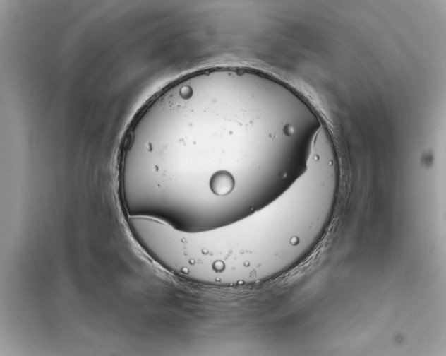 X0000099300950200805231339