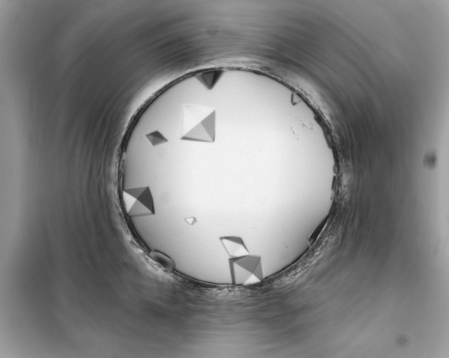 X0000099300952200805231339