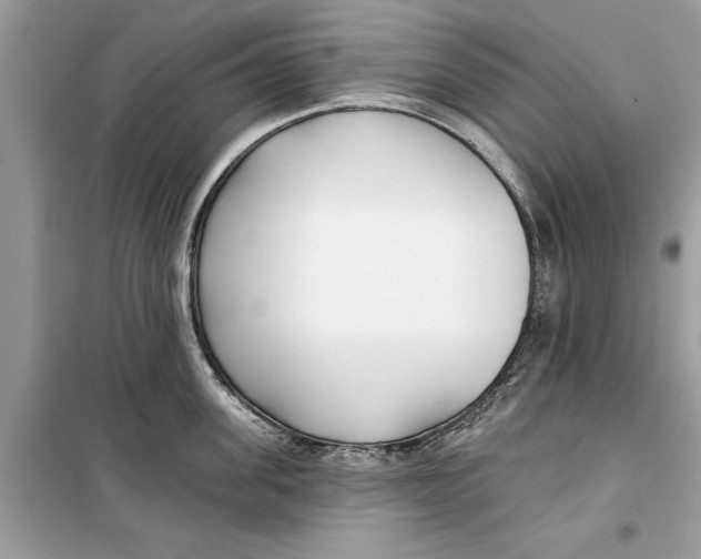 X0000099300955200805231339