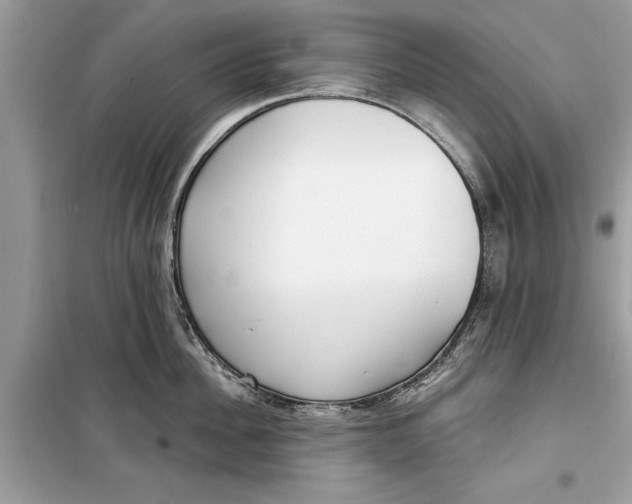 X0000099300956200805231339