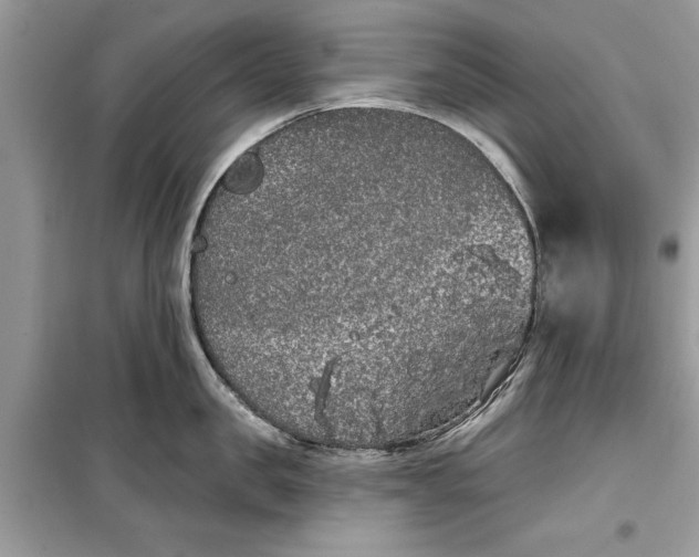 X0000099300957200805231339