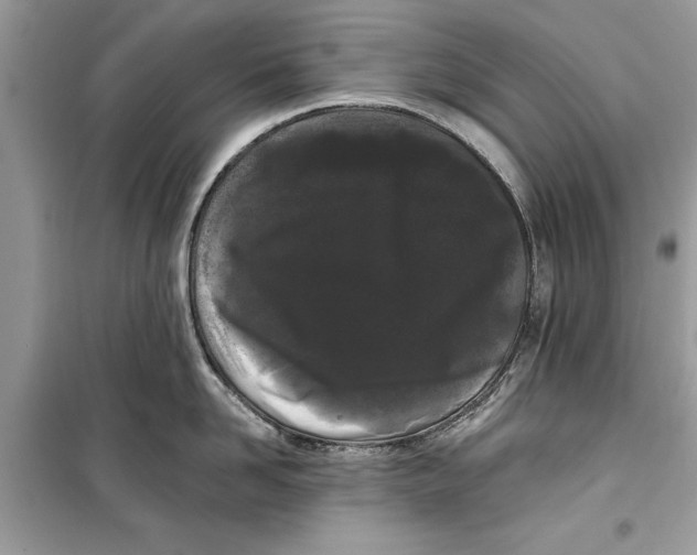 X0000099300958200805231339