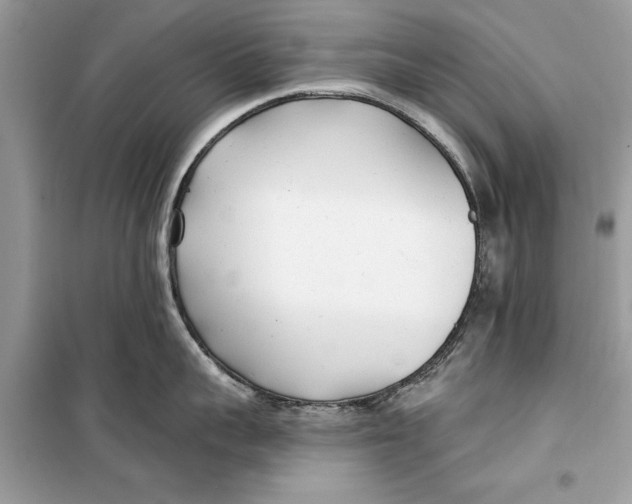 X0000099300959200805231339