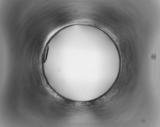 X0000099300960200805231339