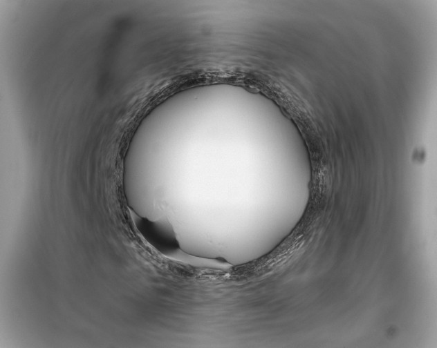 X0000099300961200805231338