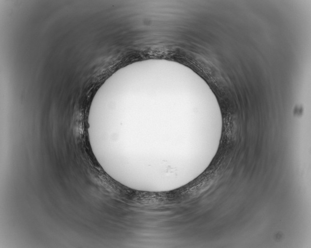 X0000099300962200805231338