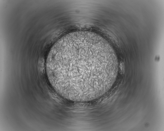 X0000099300963200805231338