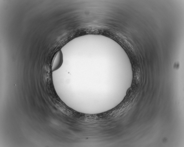 X0000099300964200805231338