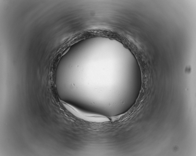 X0000099300965200805231338