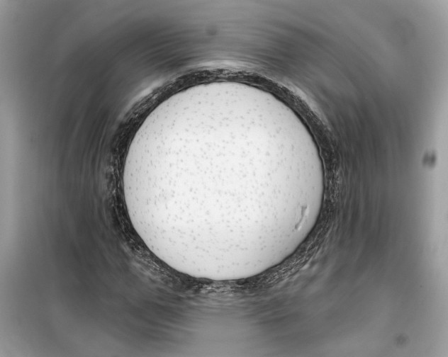 X0000099300967200805231338