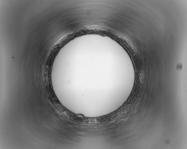 X0000099300968200805231338