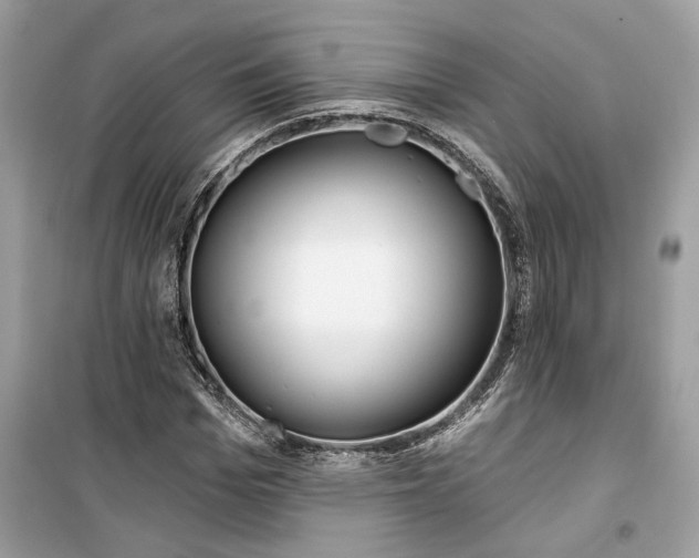 X0000099300969200805231338