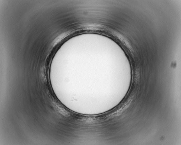 X0000099300970200805231338