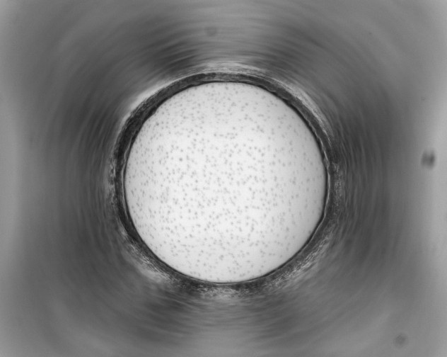 X0000099300971200805231338