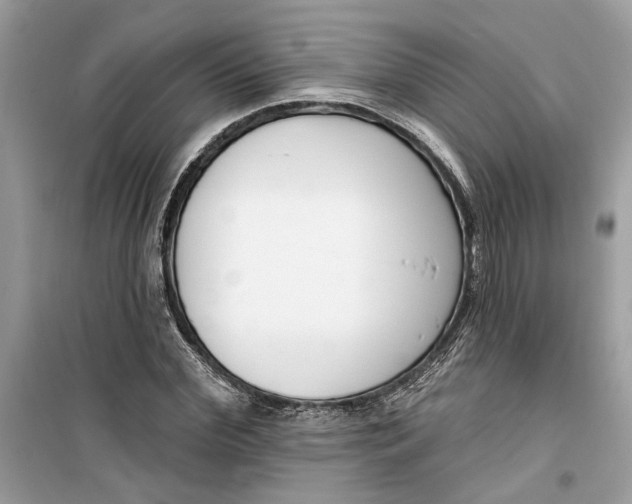 X0000099300972200805231338