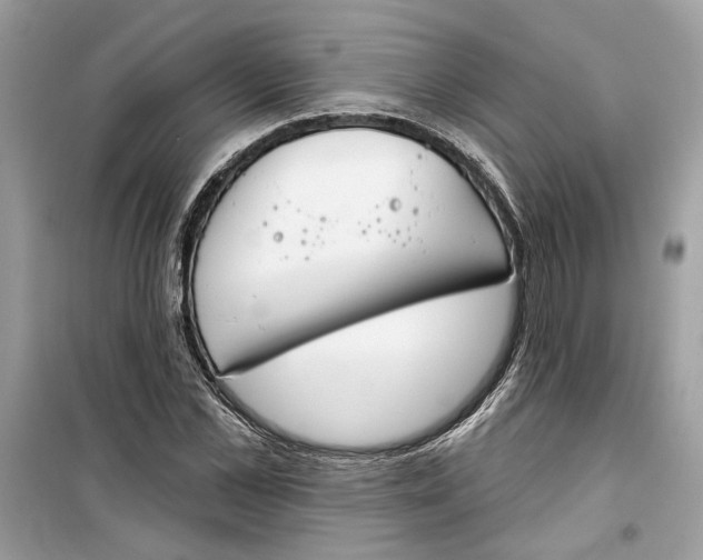 X0000099300973200805231338