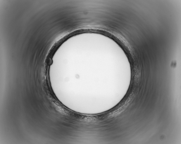 X0000099300974200805231338