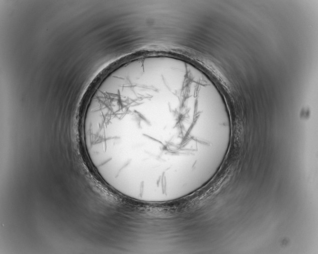 X0000099300976200805231338