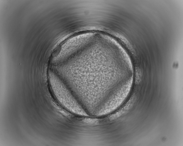 X0000099300977200805231338