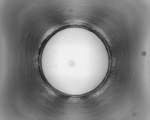 X0000099300978200805231338