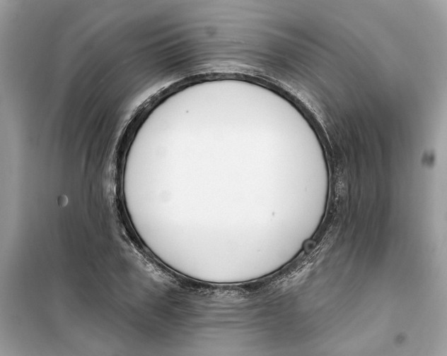 X0000099300979200805231338